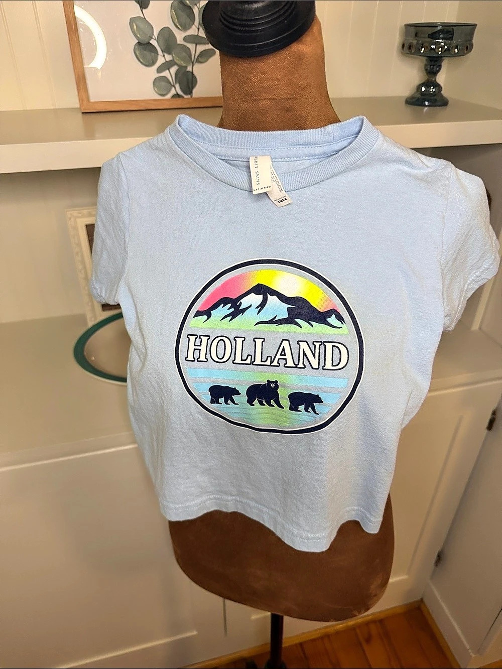 Rabbit Skins Toddler Fine Jersey T-Shirt Holland Graphic Blue Size 4